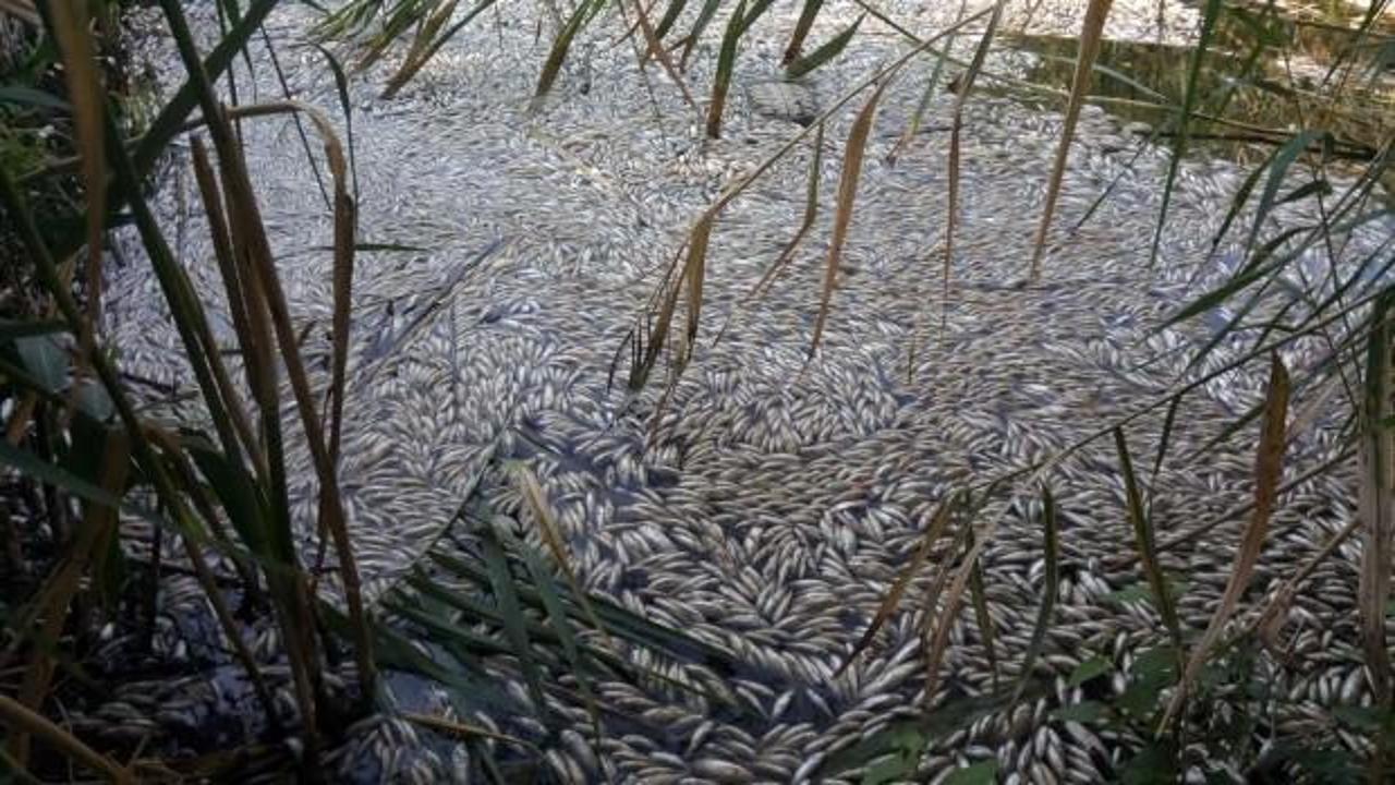 Manisa'da korkutan g&ouml;r&uuml;nt&uuml;!