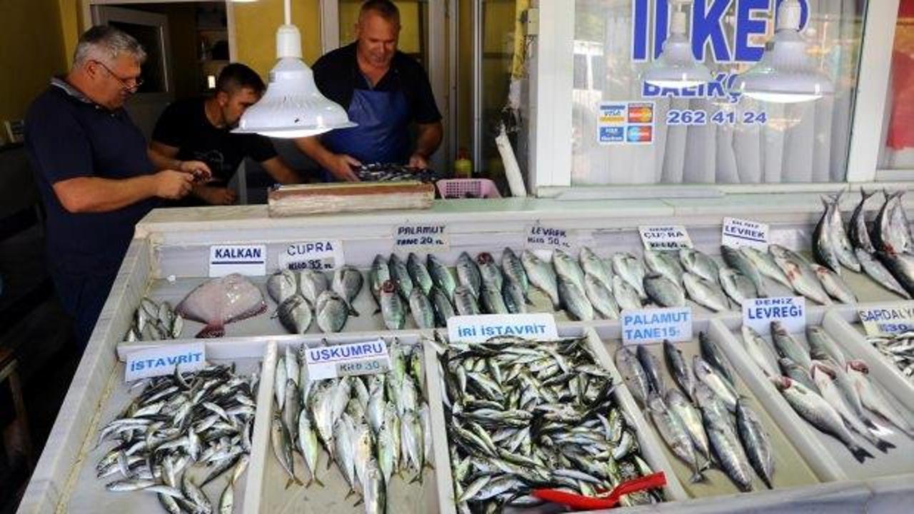 Yasak bitti, balık tezgahları şenlendi