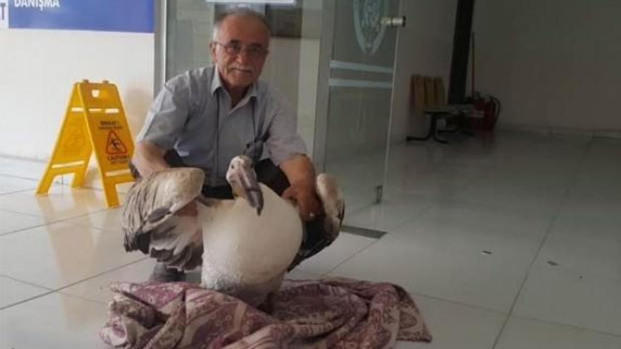 Gökyüzünden düştü! Hemen kaymakamlığa koştu...