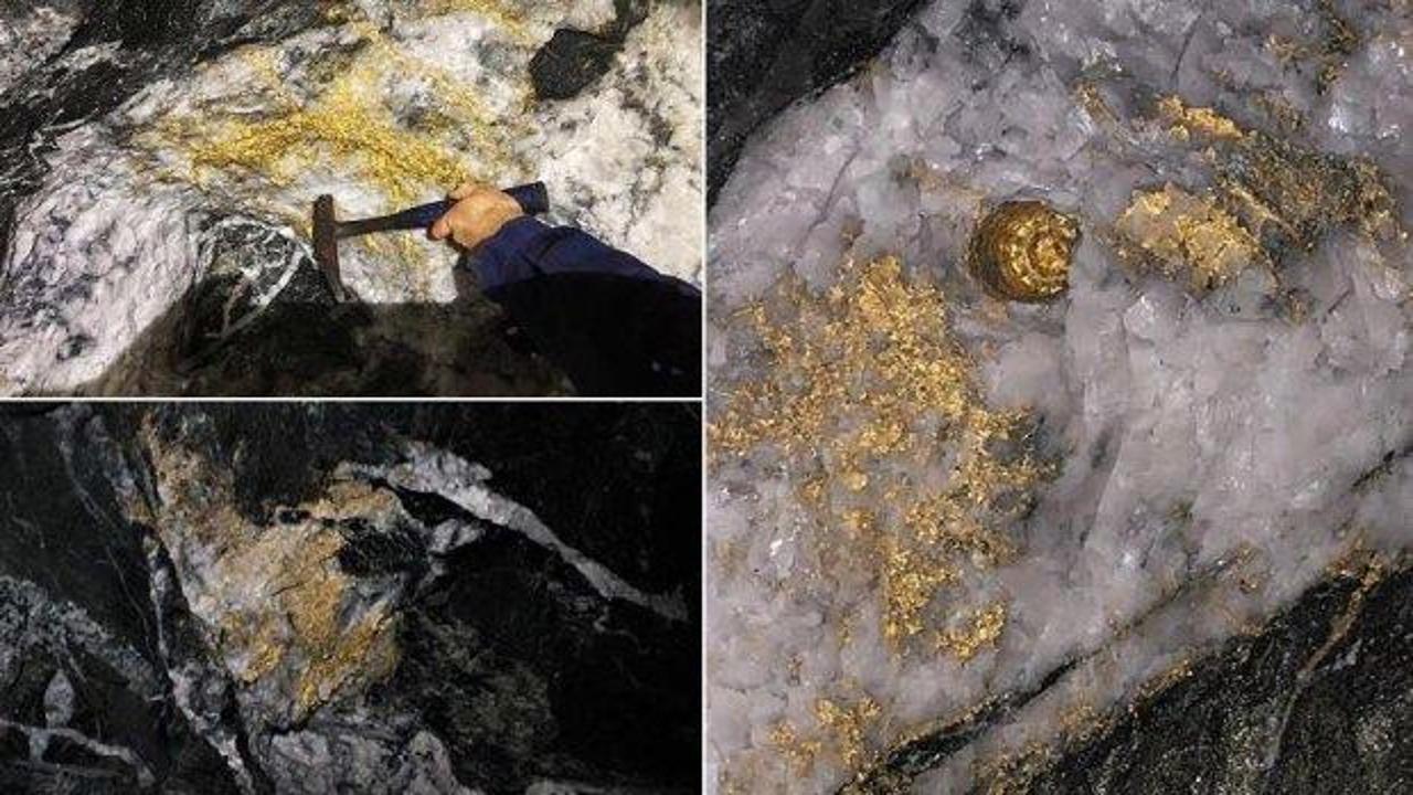 Altın kabuk bağlamış dev kayalar bulundu
