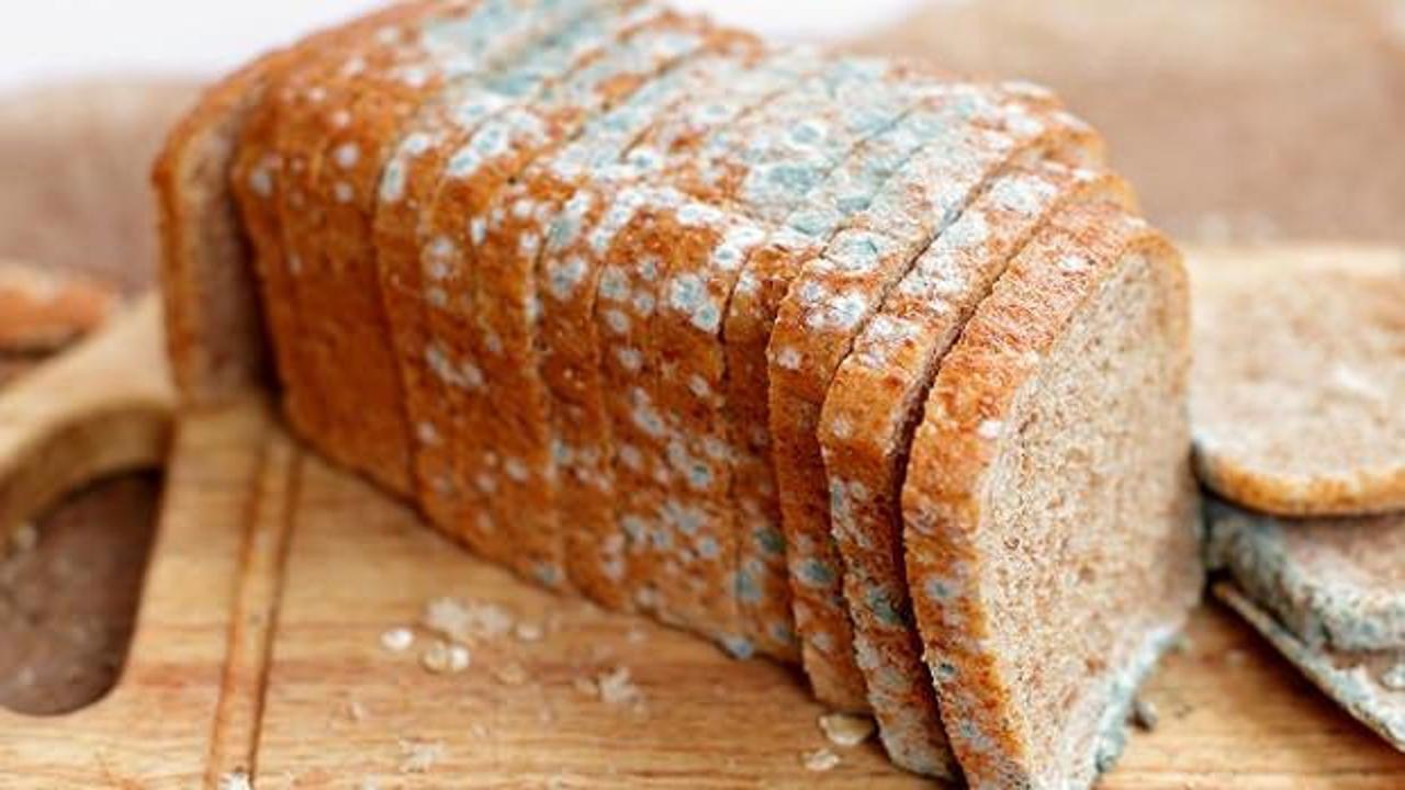 Küflü ekmeğin zararları neledir? Hangi hastalıklara yol açar?
