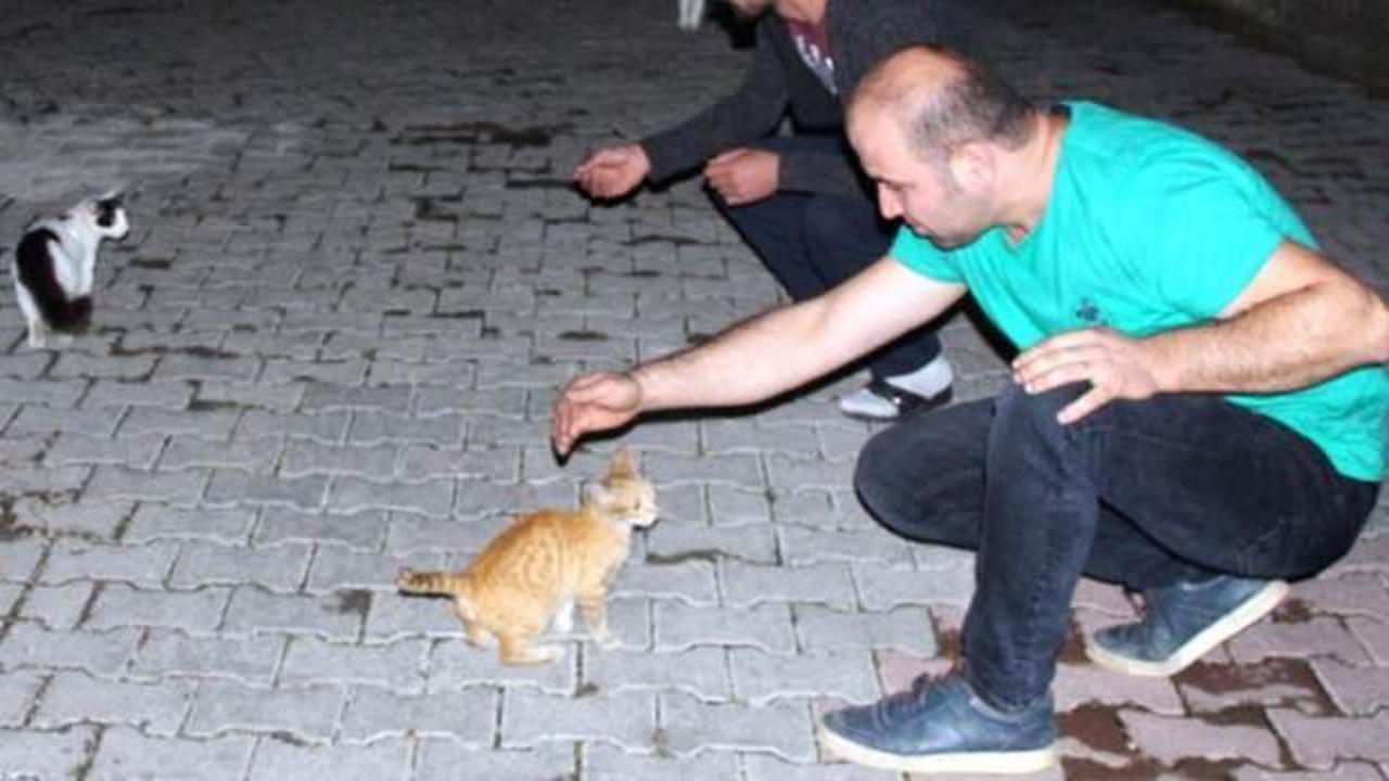 Kedileri &ccedil;uvala koyan adam: K&ouml;t&uuml; bir niyetim yoktu