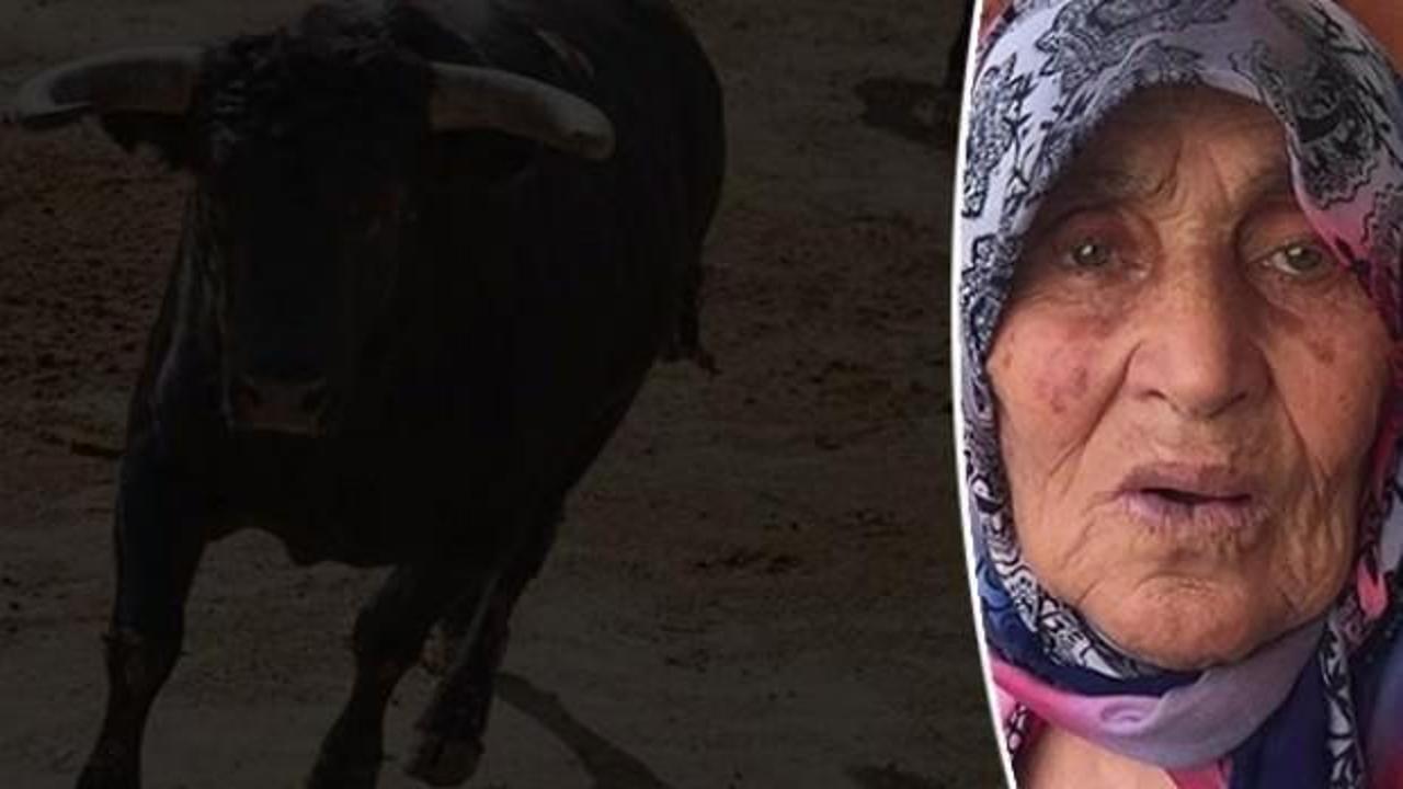 &Ouml;k&uuml;z dehşeti! Yaşam savaşı veriyor