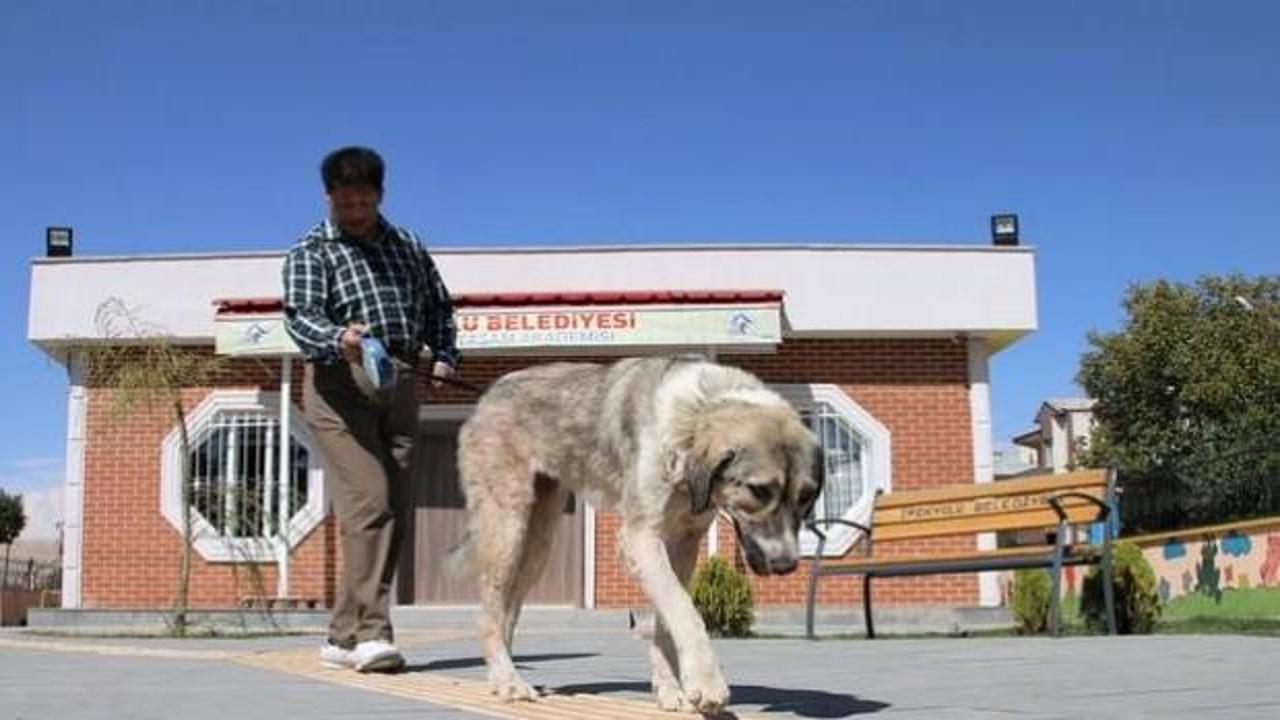 &Ouml;l&uuml;me terk edilmişti g&ouml;rme engellilere rehber oldu