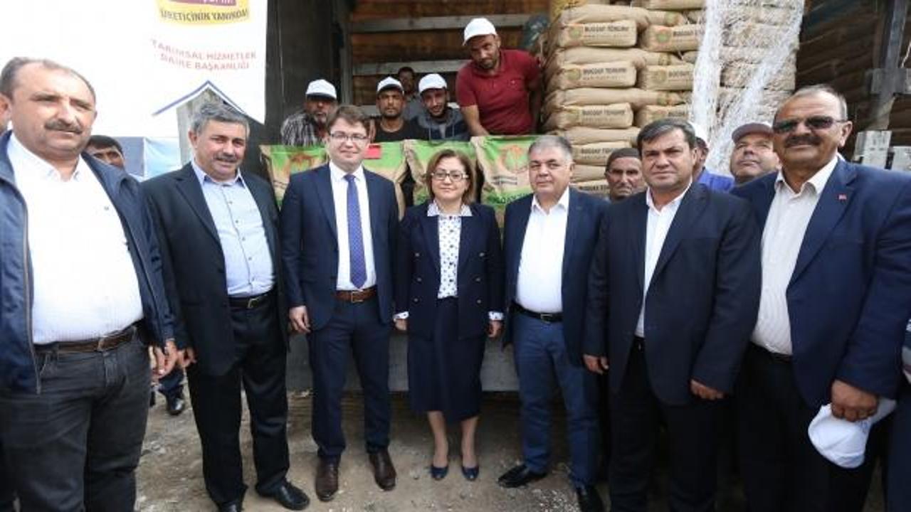 Gaziantep Büyükşehir Belediyesi tohum dağıttı