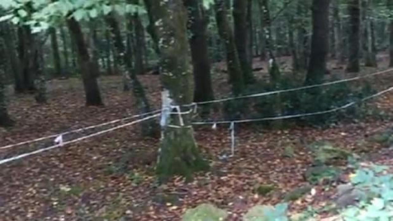 Belgrad Ormanı&rsquo;nda 'Kaşık&ccedil;ı' araması