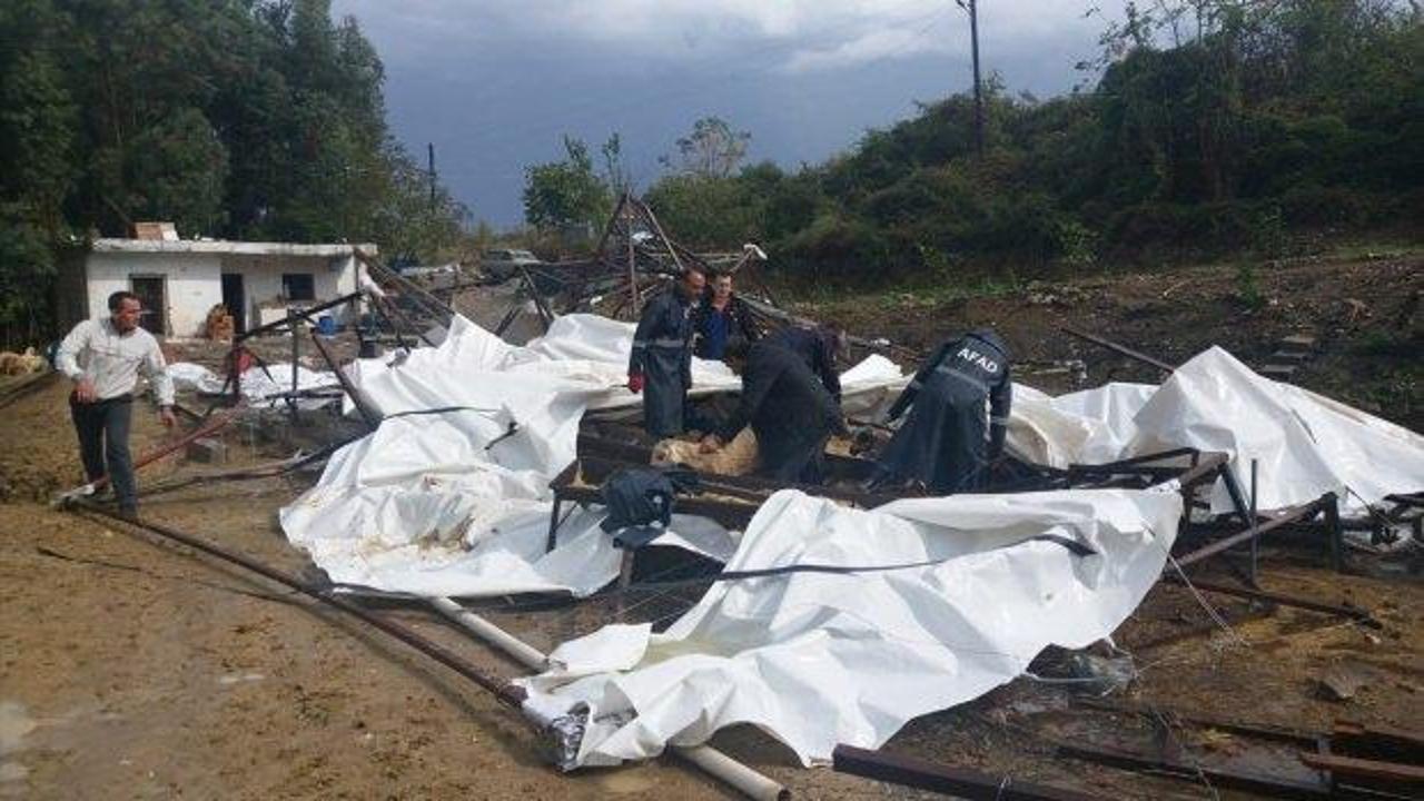 Adana'da şiddetli rüzgar hasara yol açtı