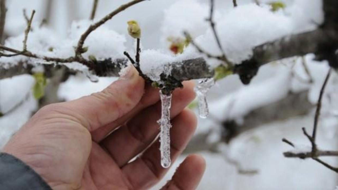 Meteoroloji'den don uyarısı!