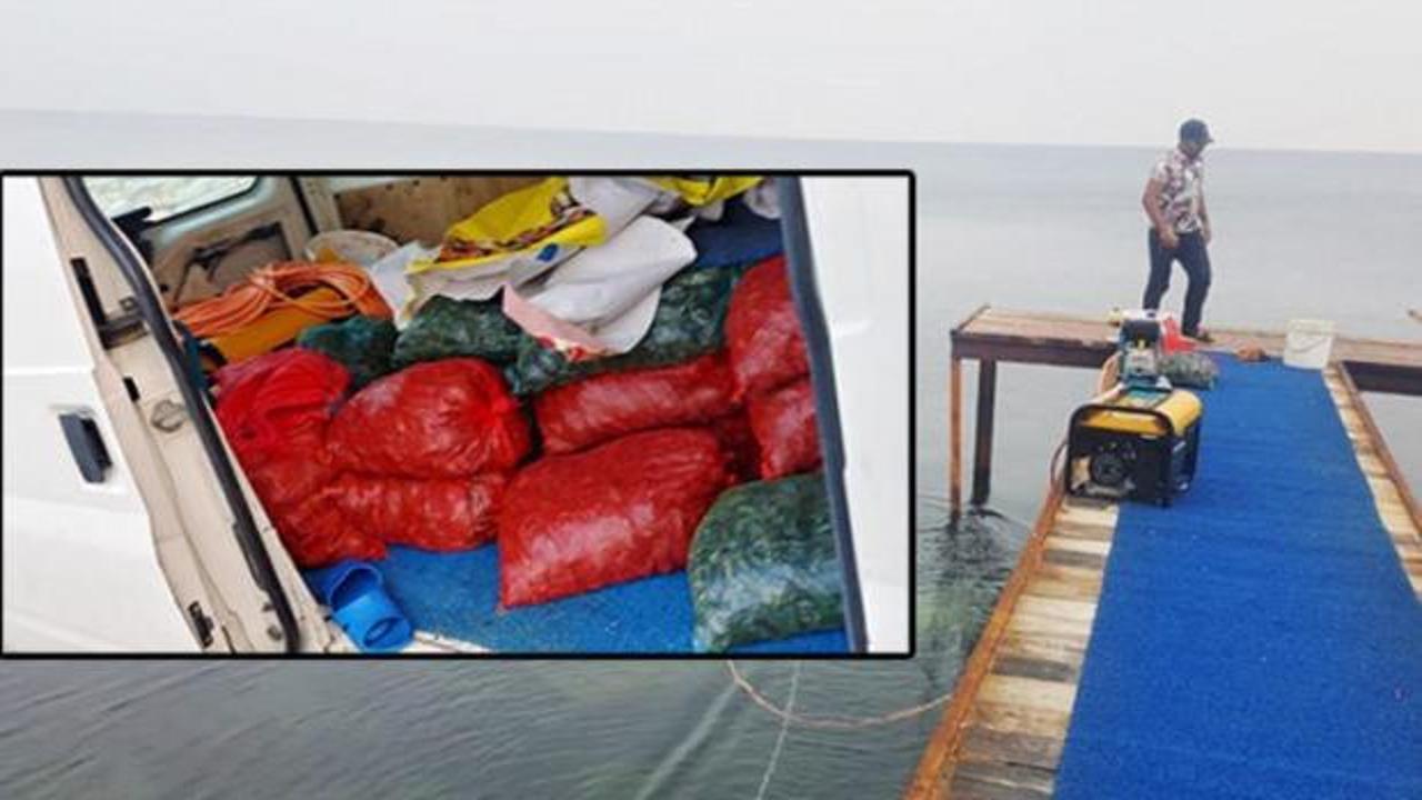 33 çuval içinde bulundu: Hepsi denize bırakıldı