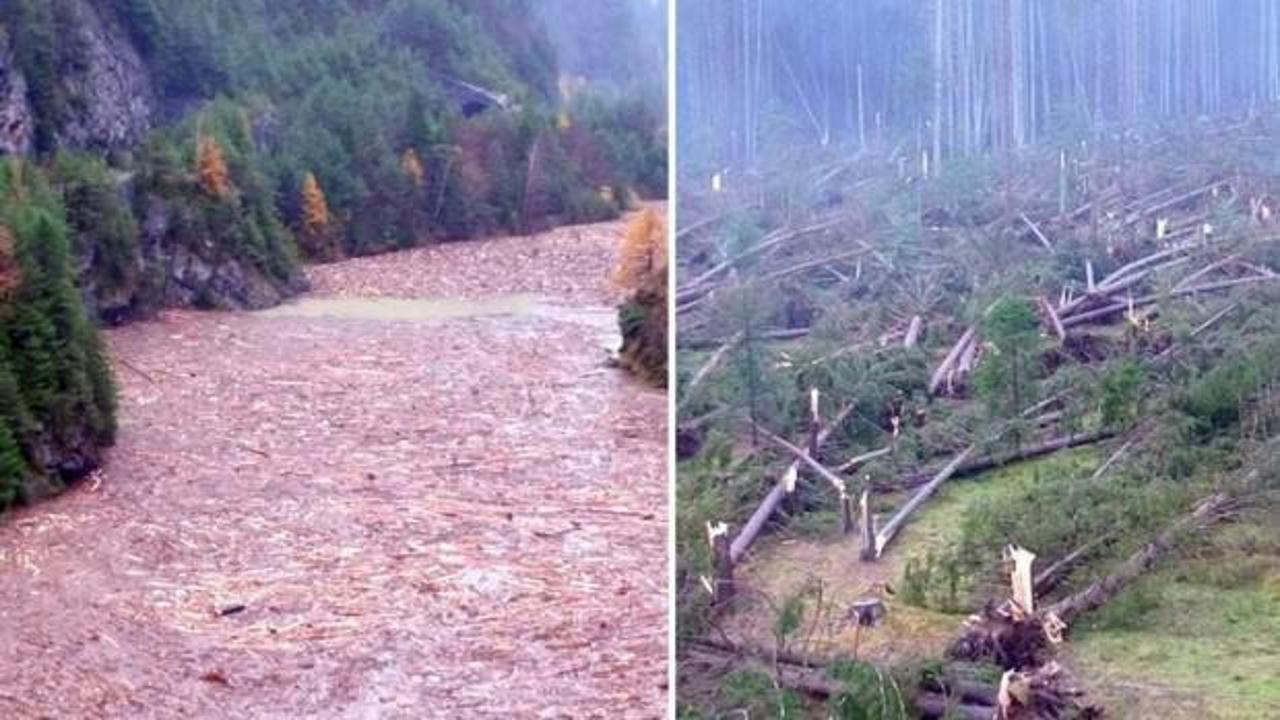 Avrupa'nın g&ouml;beğinde felaket: En az 30 &ouml;l&uuml;