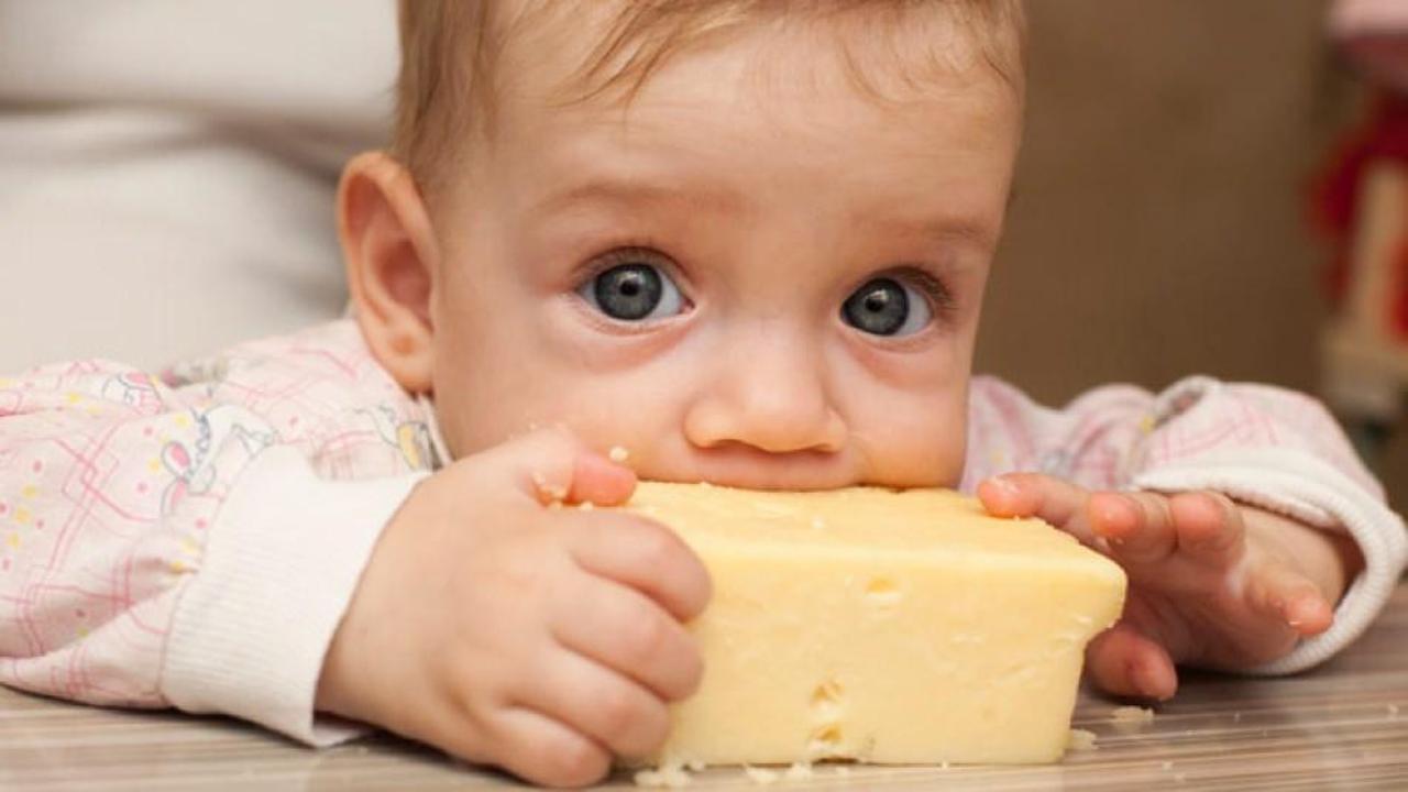 Bebekler için peynir seçimi