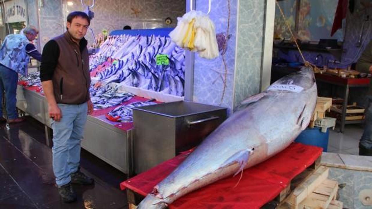 Bir bakan bir daha bakıyor! Tam 200 kilo...