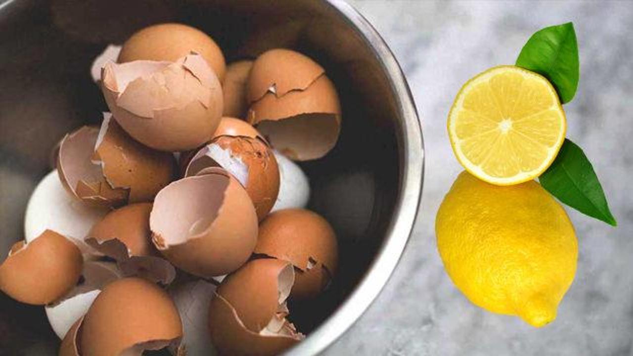 Yumurta kabuğu ve limon suyunu karıştırın! Faydası inanılmaz...