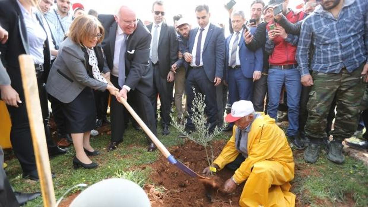 Büyükşehir 3 milyon metrekarelik alana orman kurdu