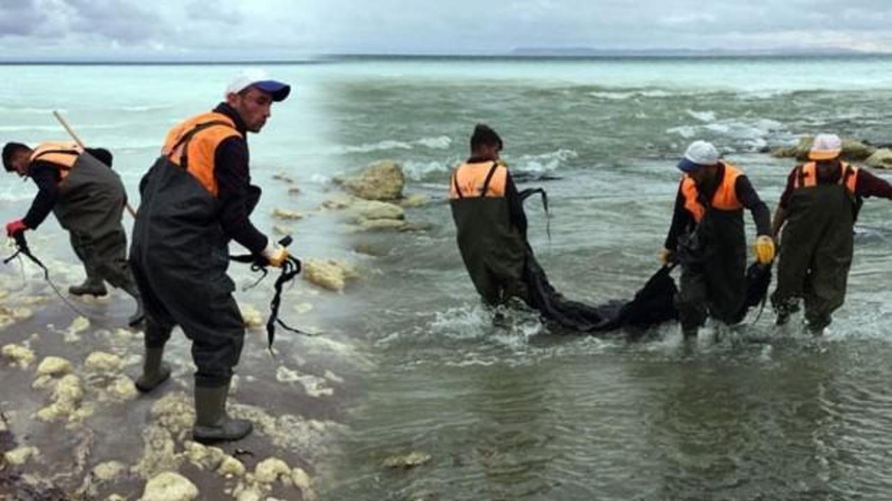 Duyarlı vatandaşın ihbarı Van Gölü'nü kurtardı