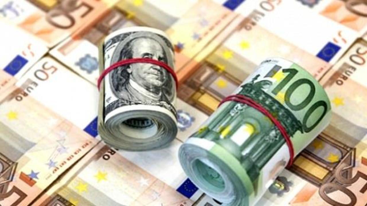 Euro/dolar 1,13`ün altına geriledi