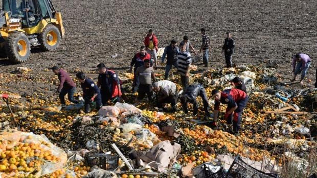 Narenciye posası altında can pazarı