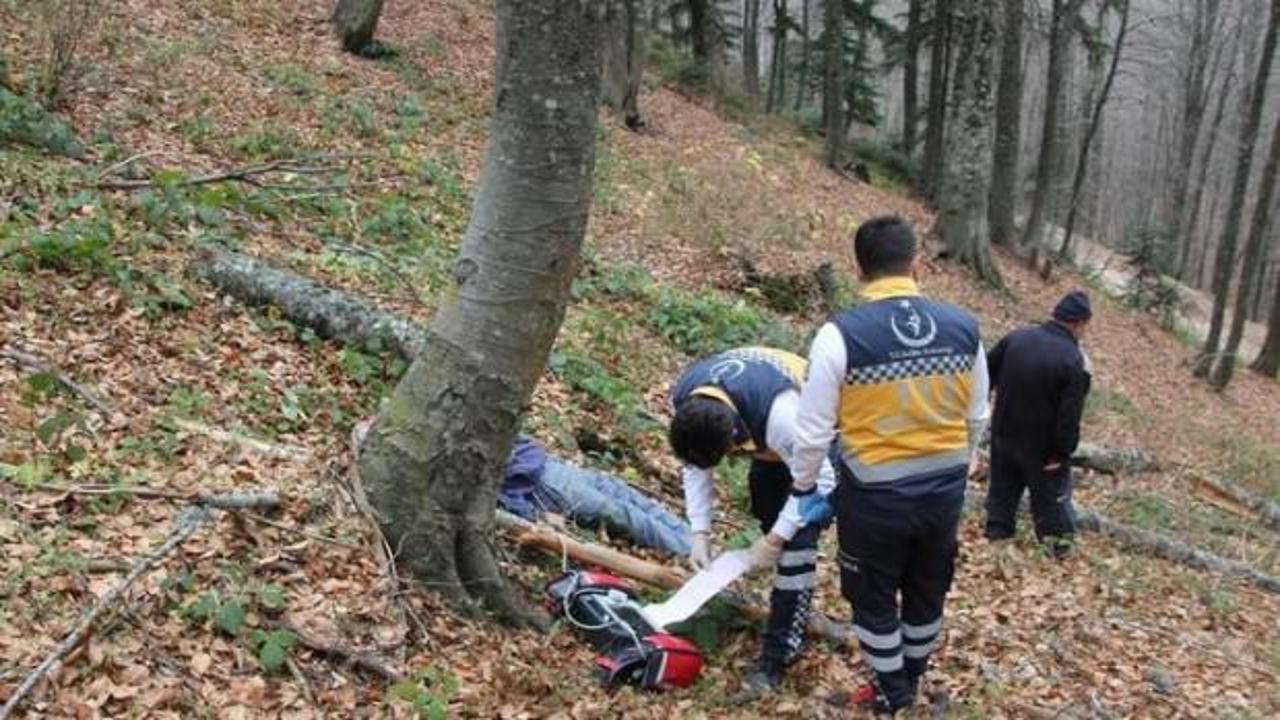 Ormanda feci &ouml;l&uuml;m! Kestiği ağa&ccedil;...