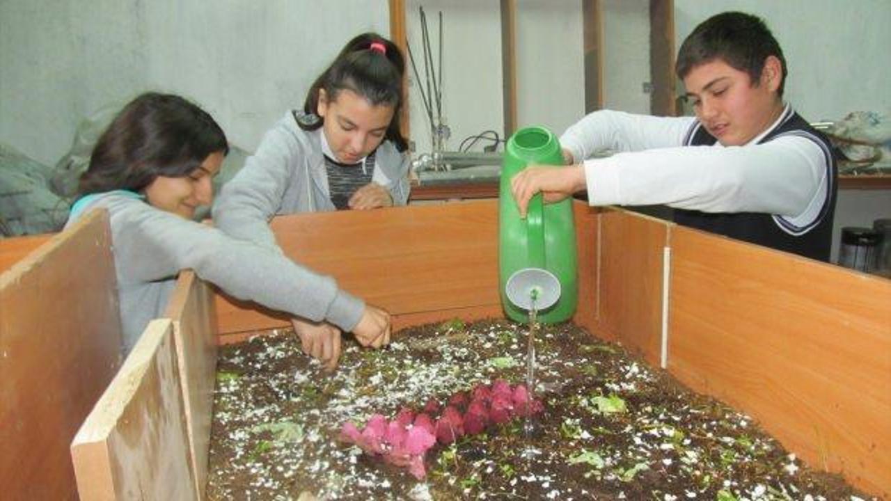 Öğrenciler okulda solucan gübresi üretiyor