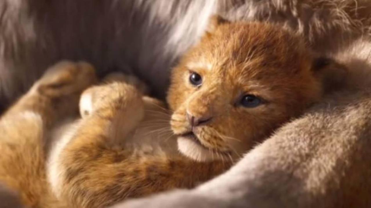 Bir zamanların efsane filmi Aslan Kral beyaz perdede!