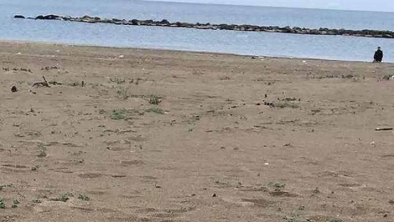 Kumsalda, insan kafatası ve kemikleri buldular