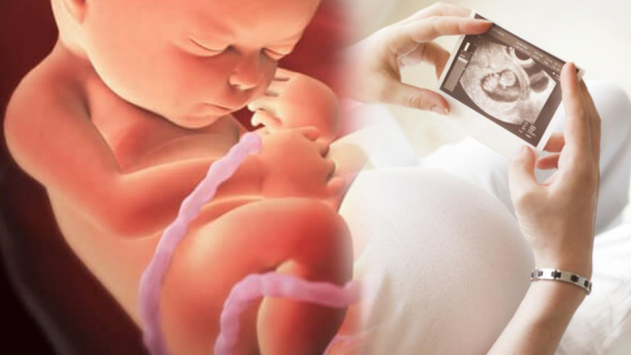 Anne karnındaki bebeği etkileyen besinler