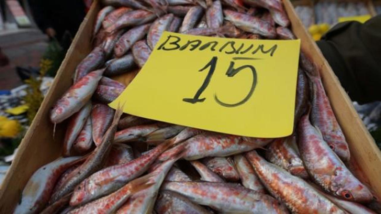 Barbun bolluğu fiyatlara yansıdı