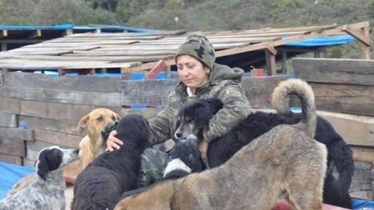 Hayvan hakları i&ccedil;in &ccedil;&ouml;pl&uuml;kte a&ccedil;lık grevi yapıyor