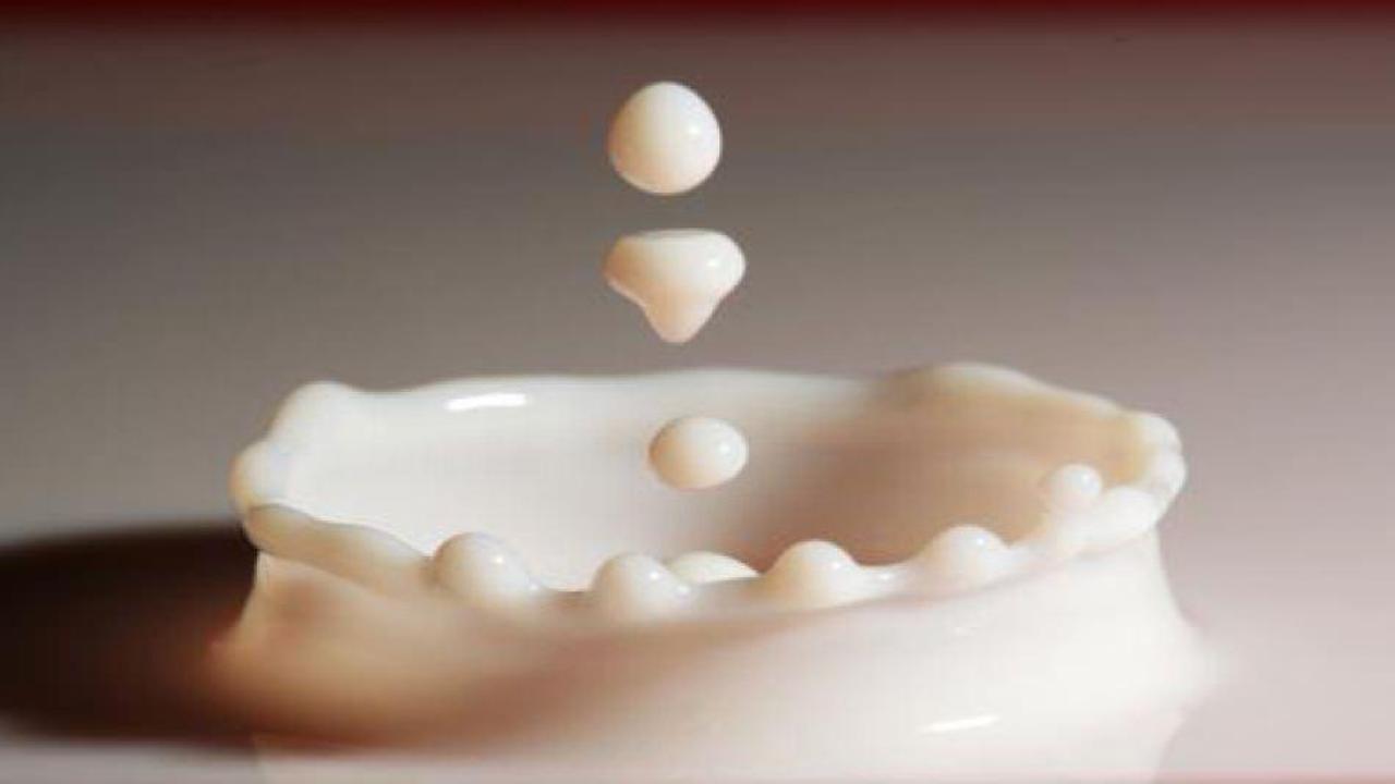 Anne s&uuml;t&uuml;n&uuml; hangi organ oluşturuyor? İşte şaşırtan sonu&ccedil;...