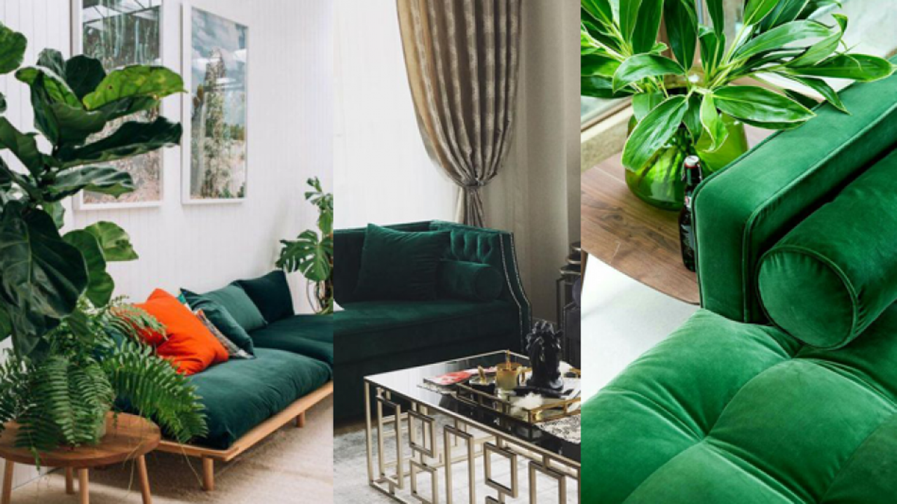 Evde dekorasyonunda çay yeşili modası