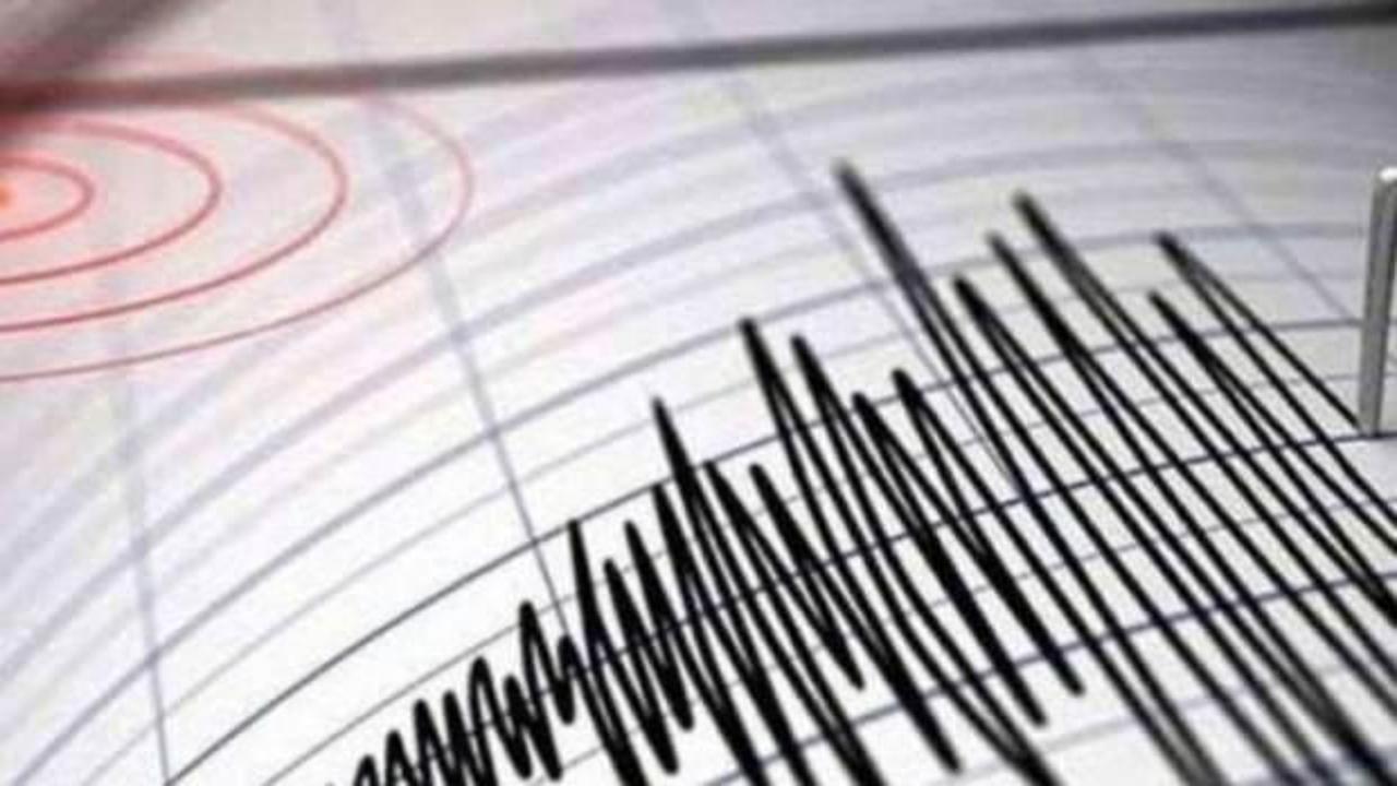 Vanuatu'da 6 büyüklüğünde deprem