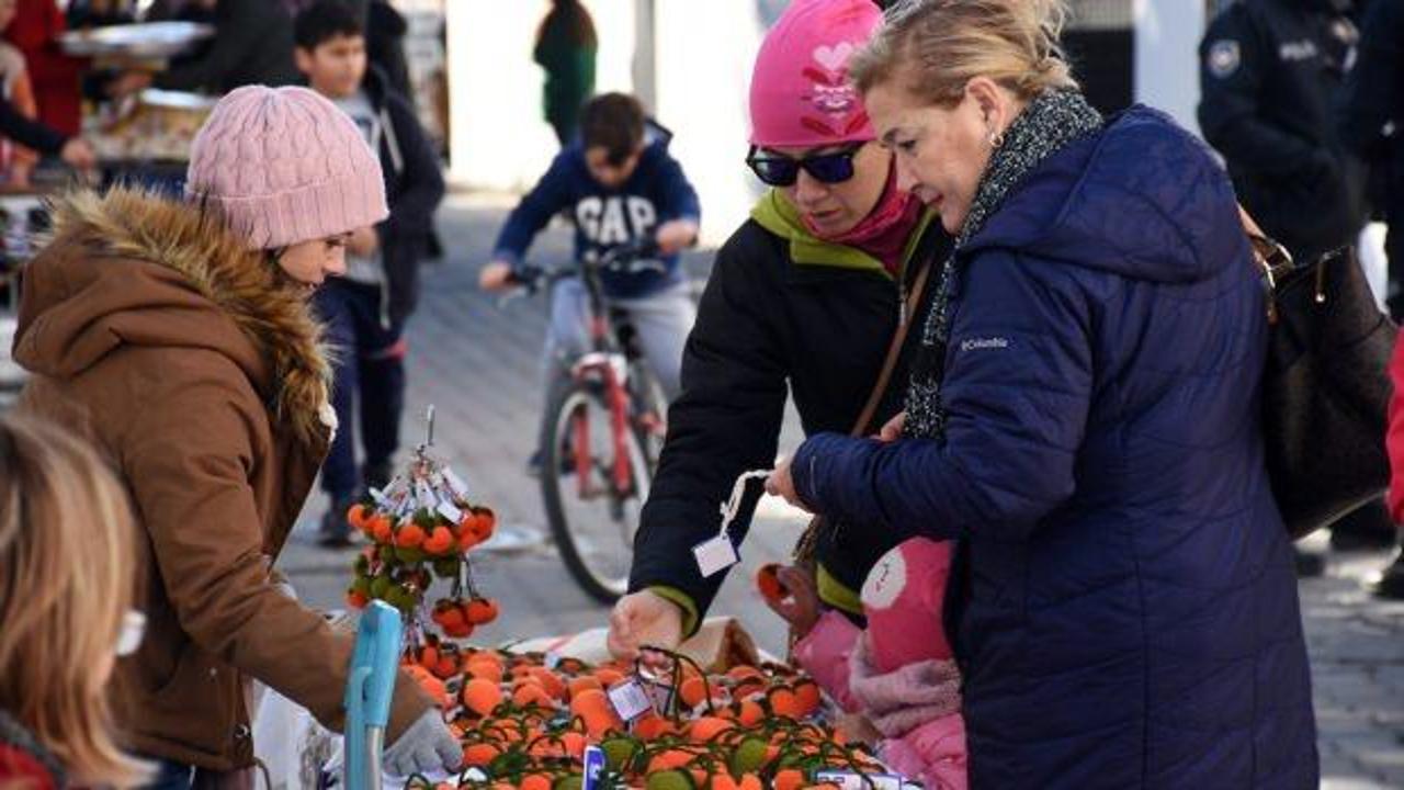 Bodrum'da Mandalina Hasat Festivali