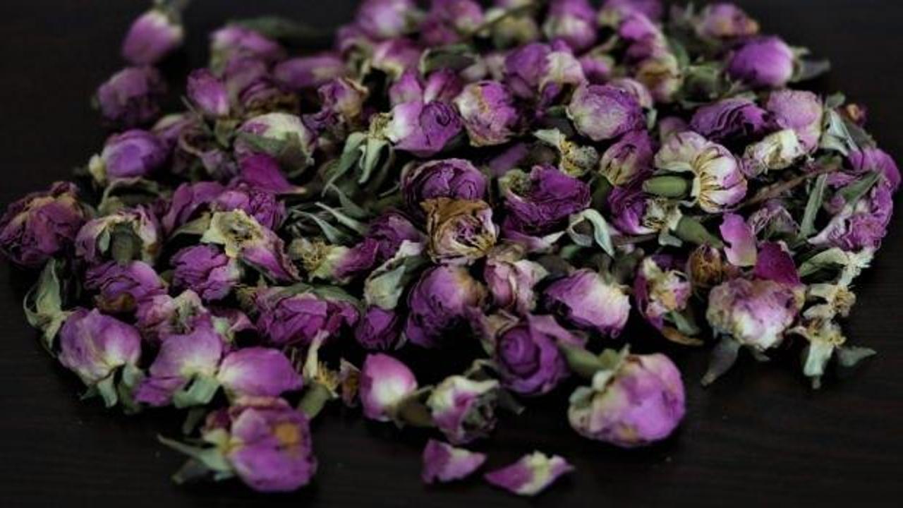 Isparta'dan 10 ülkeye gül çayı ihracatı