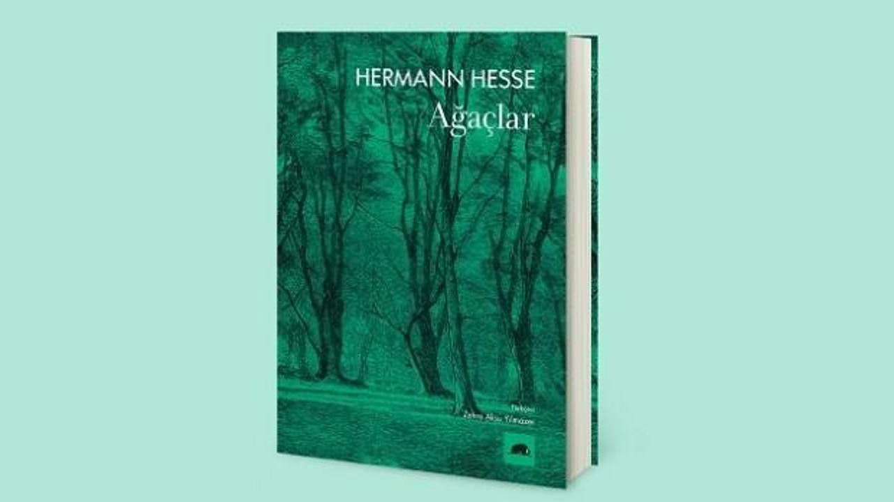  Hermann Hesse'nin Ağaçlar Kitabı Türkçe'de