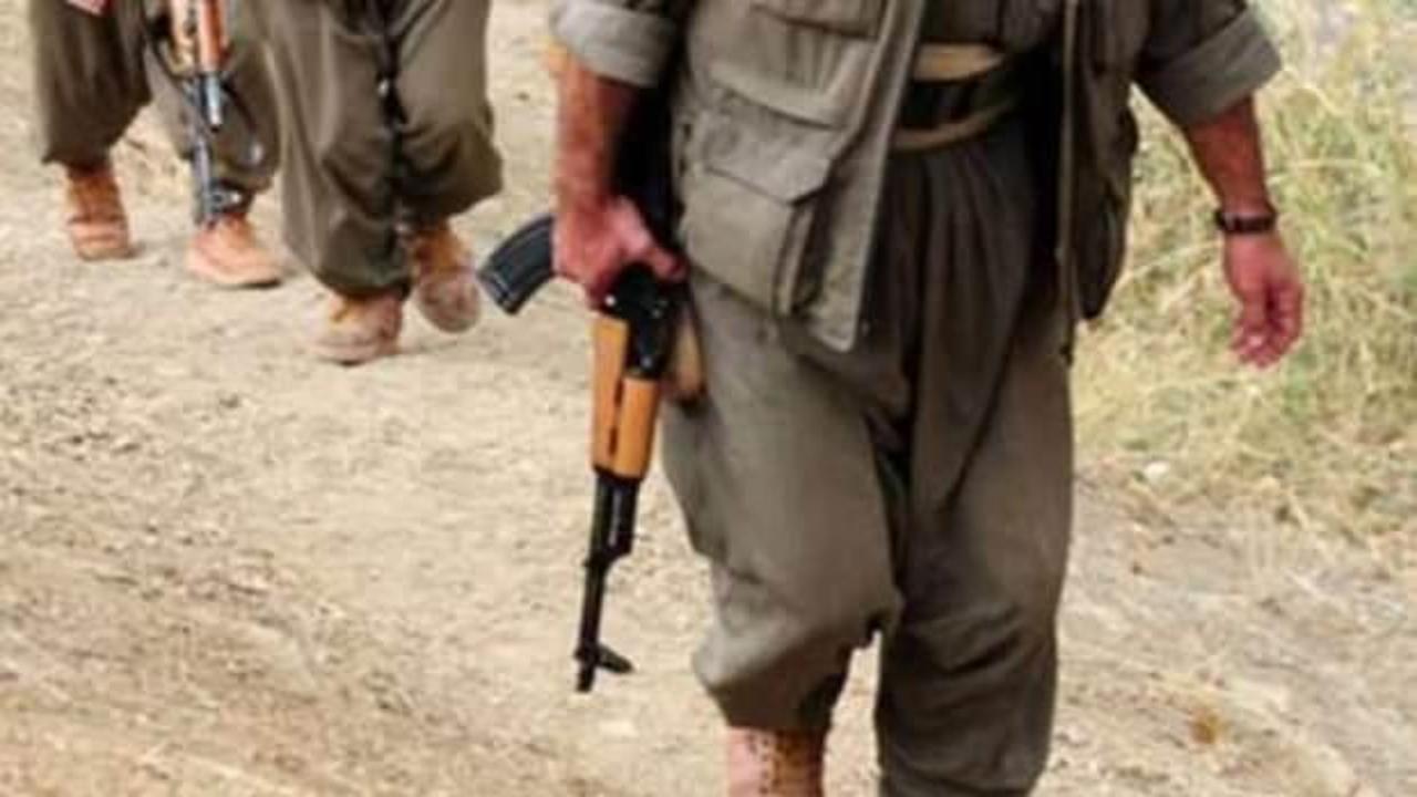 Şırnak'ta PKK operasyonu: 14 gözaltı