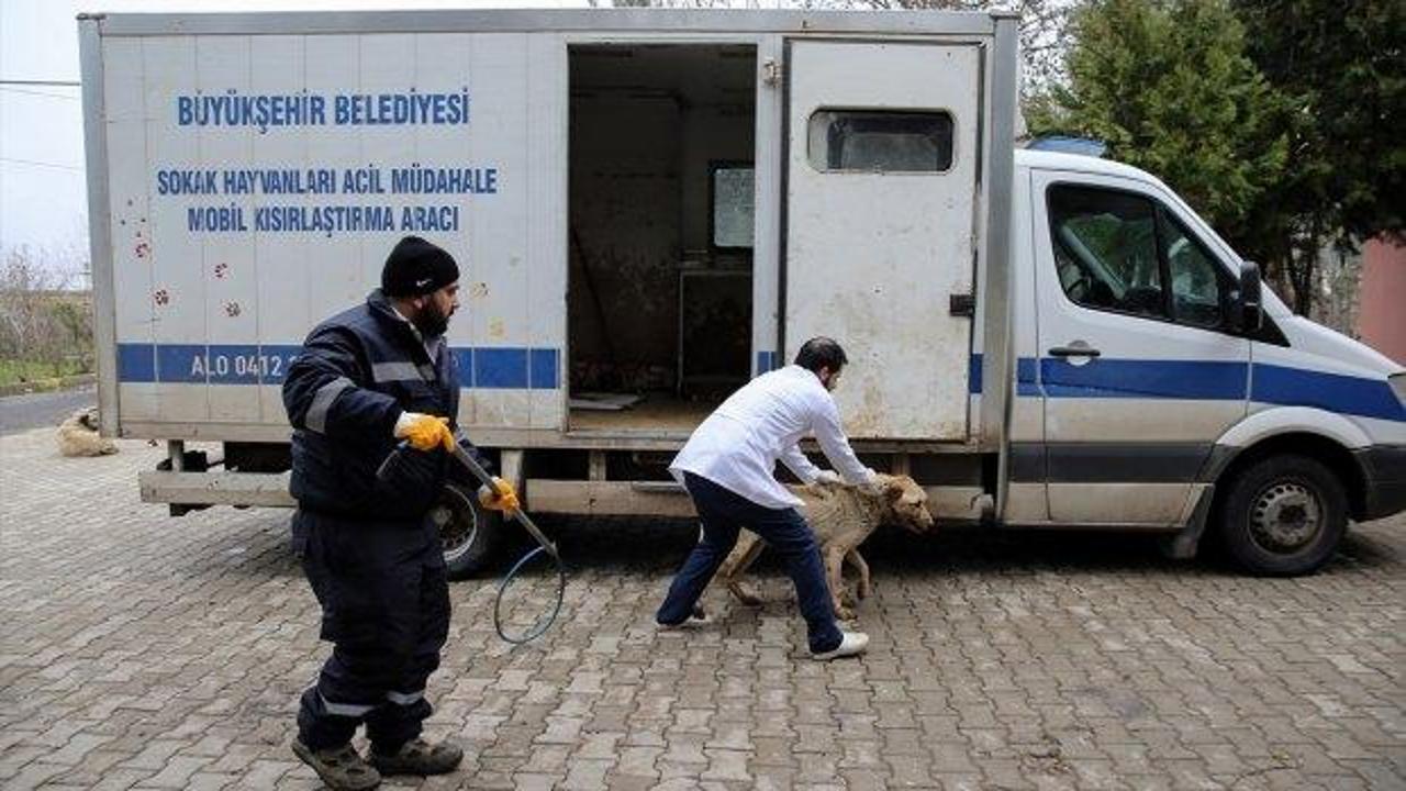 Hasta ve yaralı hayvanlara "ambulans" ile anında müdahale