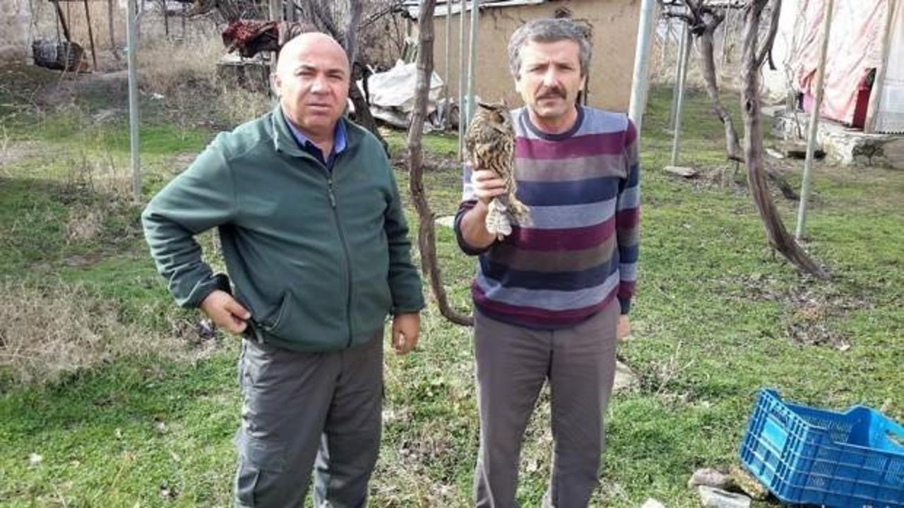 Yaralı halde buldular! Hemen koruma altına alındı