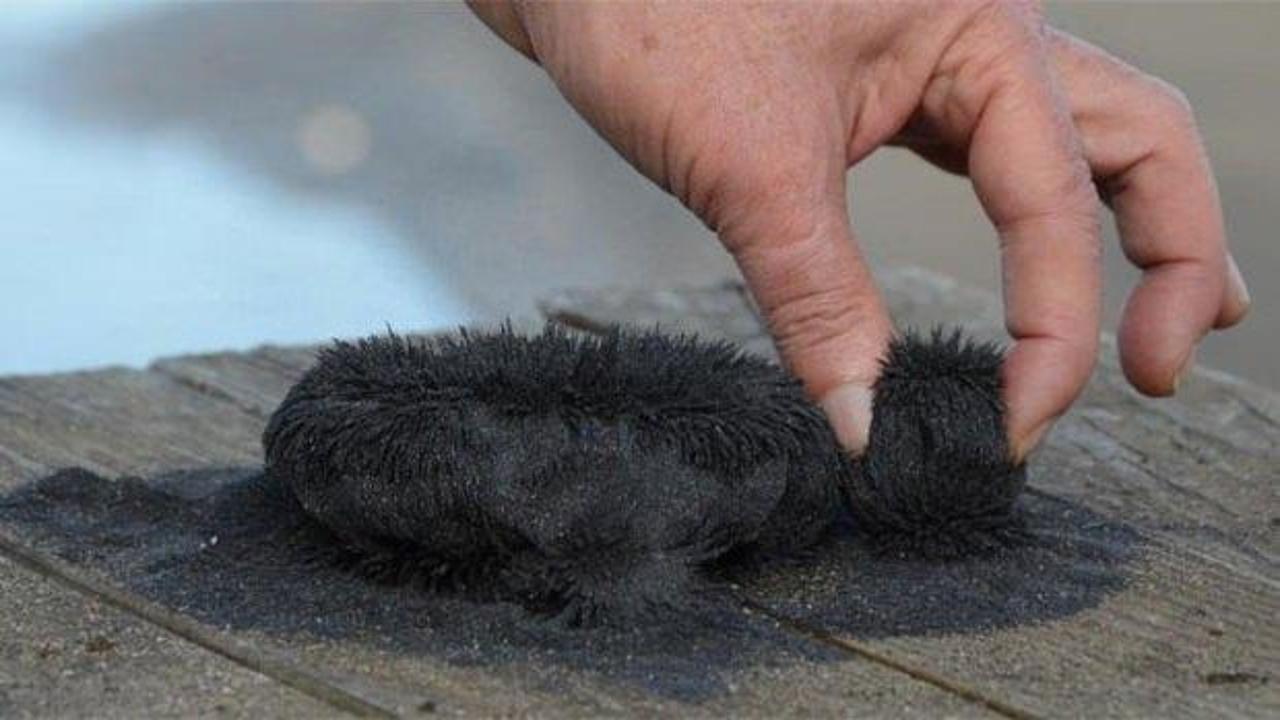 Ordu'da bulundu! T&uuml;rkiye'nin yeni cevheri olacak