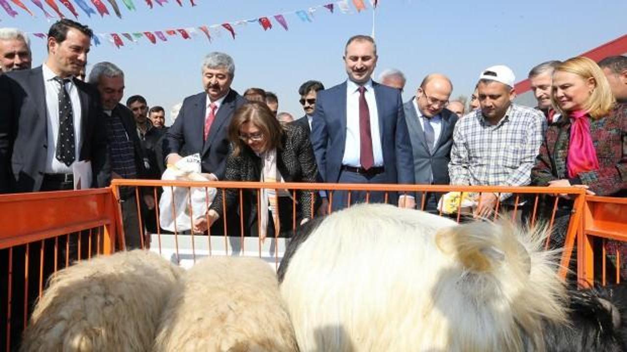 Gaziantep Büyükşehir'den üreticiye dev destek