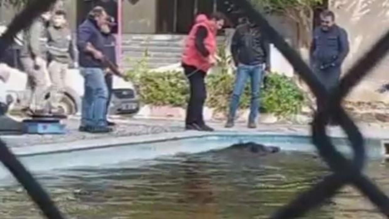 L&uuml;ks otelin havuzunda şoke eden g&ouml;r&uuml;nt&uuml;