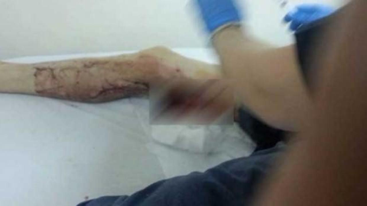 Ordu'da akılalmaz olay! Domuza yalvarınca...