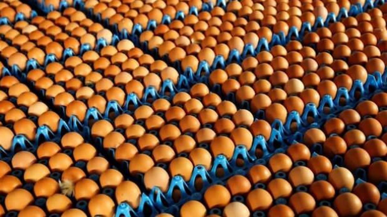 Tavuk yumurtası üretimi aralık ayında 1.7 milyar adet oldu