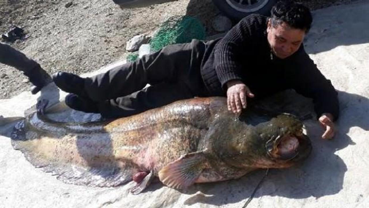 G&ouml;renler hayrete d&uuml;şt&uuml;! Tam 100 kilo...