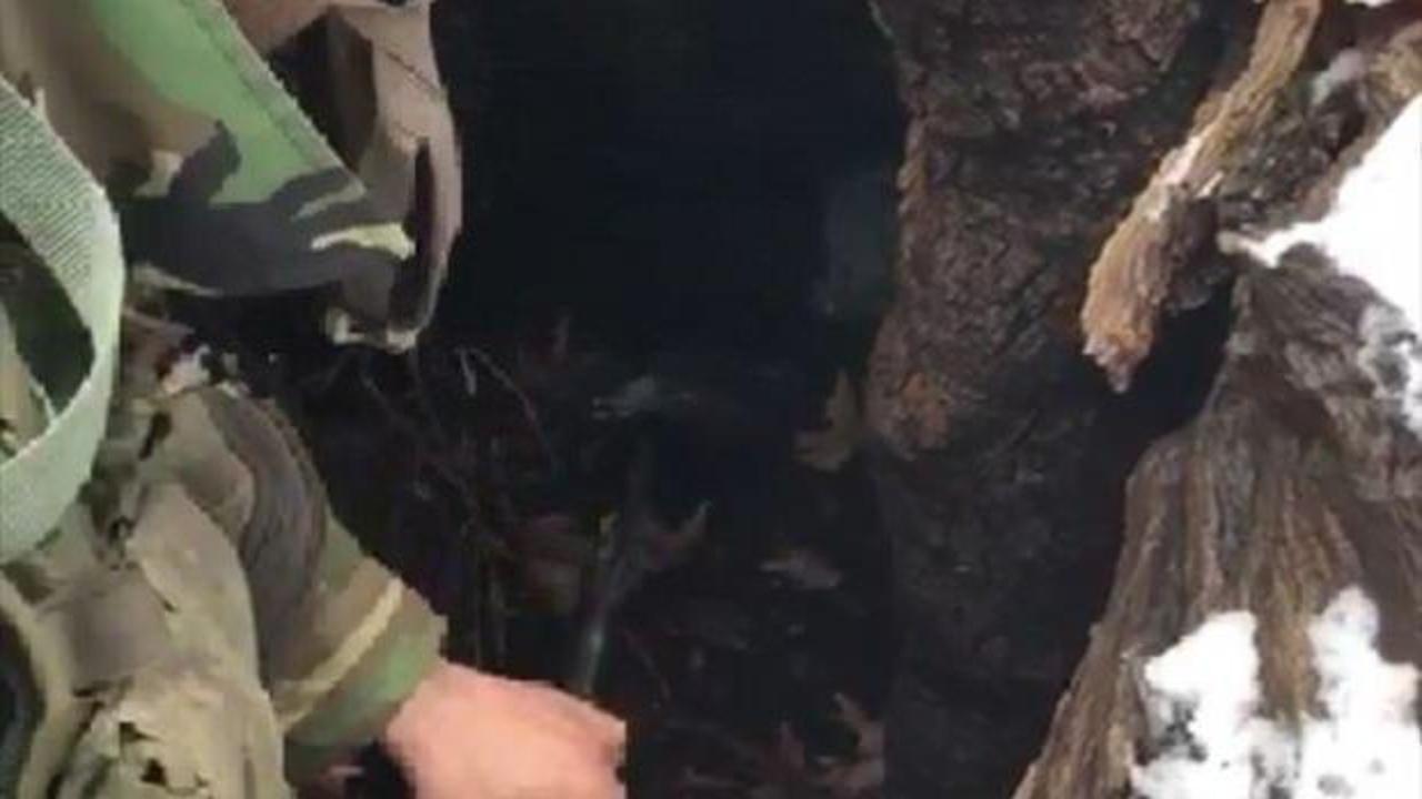 Ağaç kovuğunda teröristlere ait silah ve mühimmat bulundu