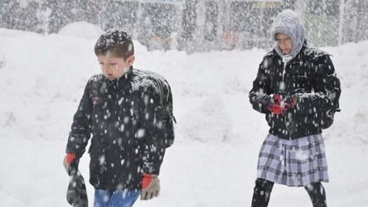Bitlis ve Muş'ta eğitime kar tatili