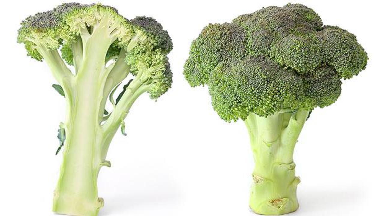 Brokolinin faydaları: Kilo vermek isteyenler için besin değeri