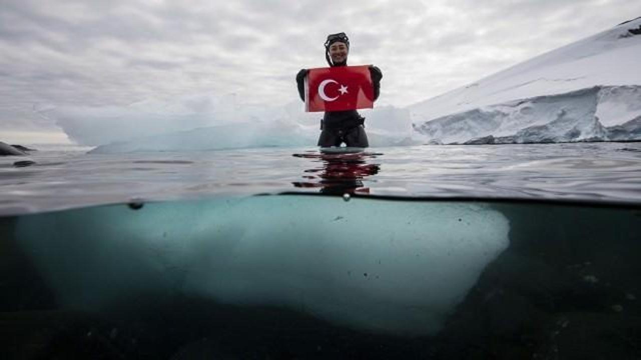Şahika Ercümen'den Antarktika'da anlamlı dalış!
