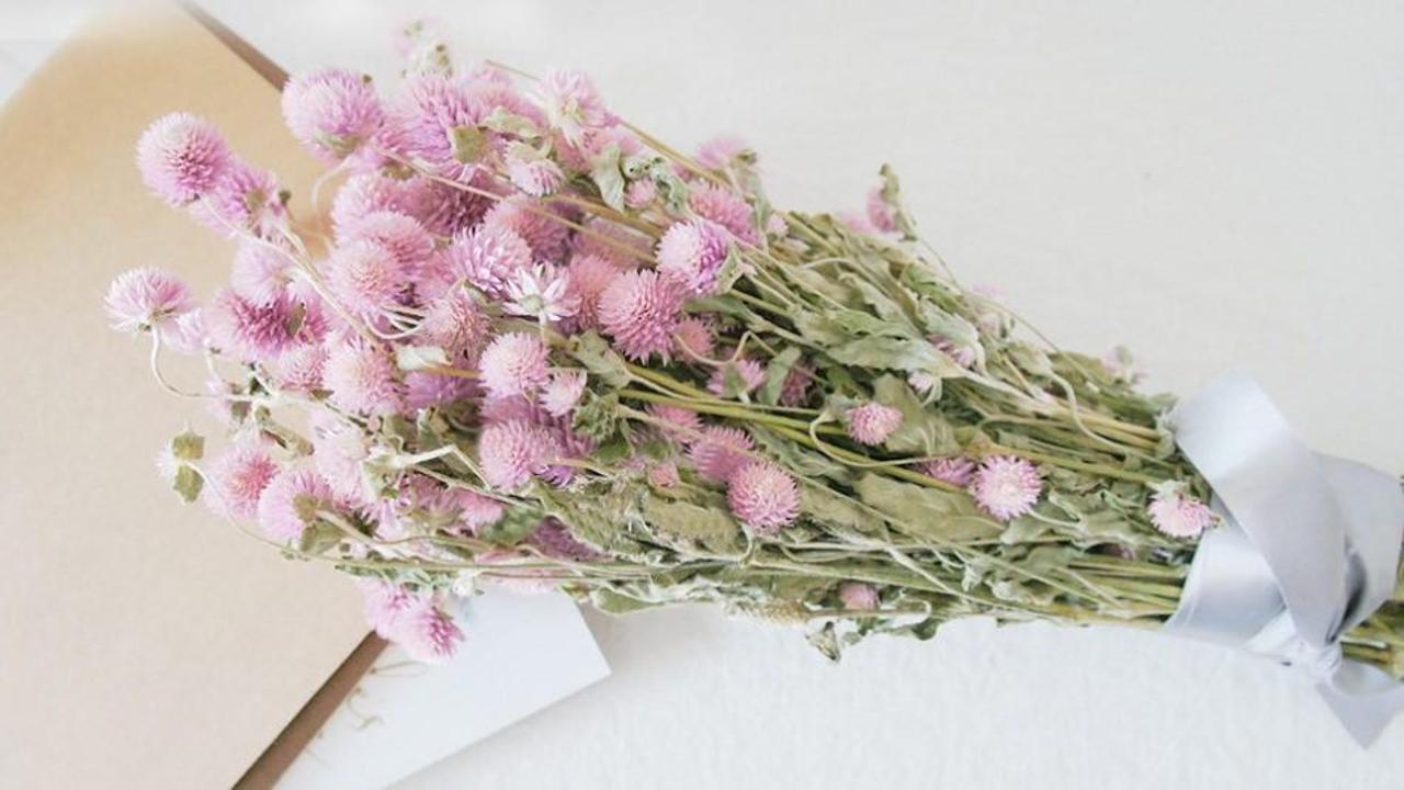 Çiçek ve bitki nasıl kurutulur?