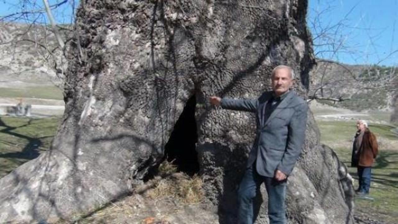 G&ouml;renler hayran kalıyor! Tam 7 asırlık...