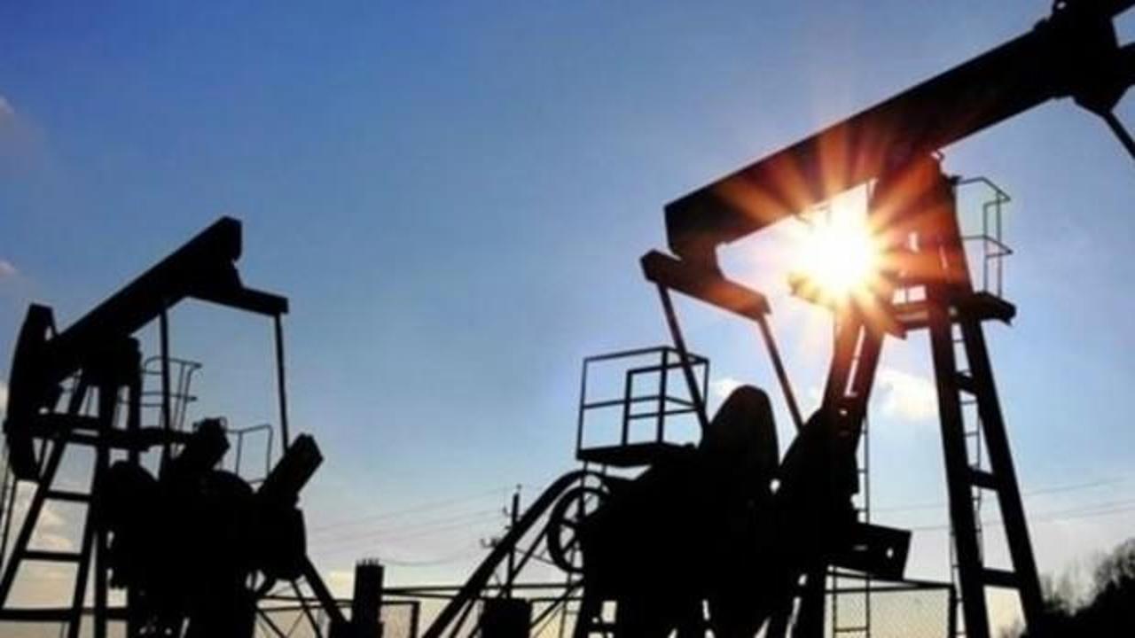 Brent petrolün varili 66,69 dolar